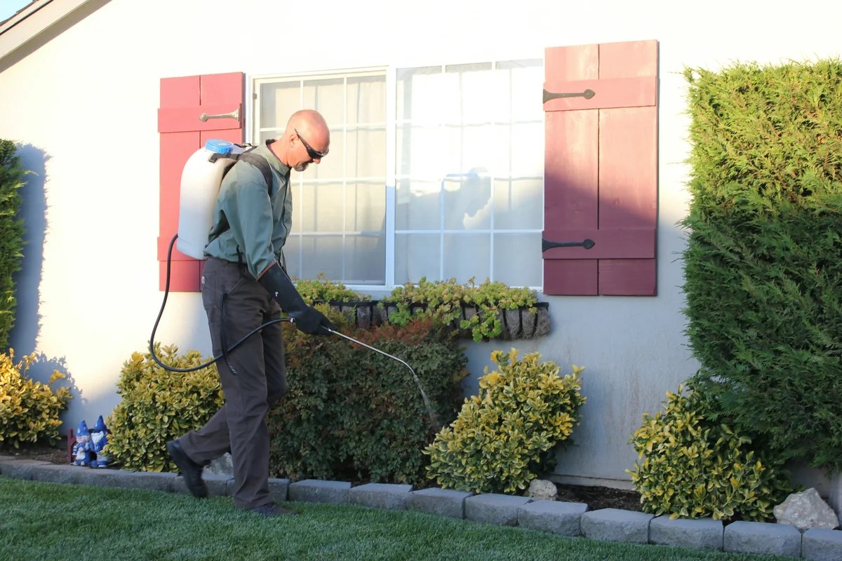Pest Control professional at work
